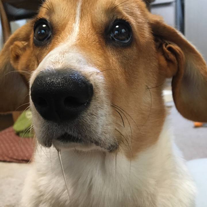 B946e2c4 cca8 4cb5 bc46 d83465e42ae5 1596152139357