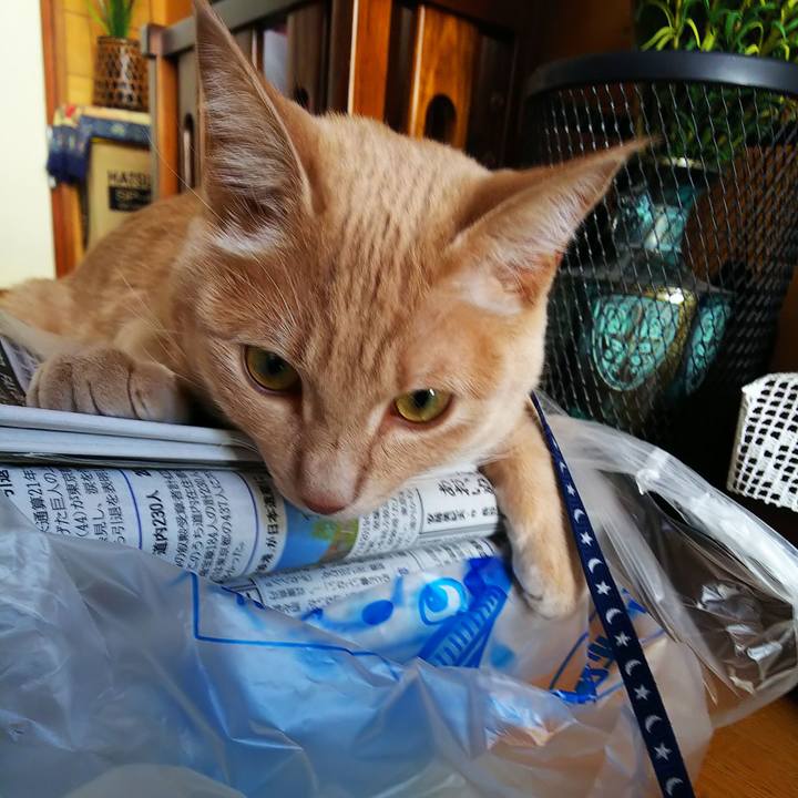 B946e680 8016 4254 a368 b434a5ec061c 1558770578598