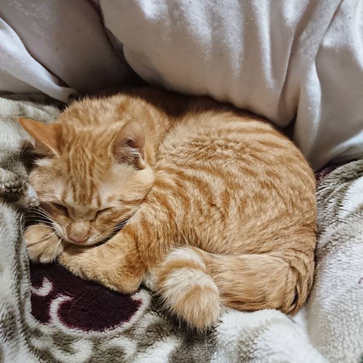 B946fca1 f32d 4ff0 bacc 9c4067a32a7d 1642420765025