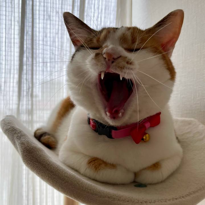 B947472b 3877 44b6 ab96 ac99db965278 1617076329146