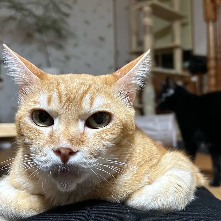 B9475037 2439 4b3b b372 3053854953d9 1674129405498