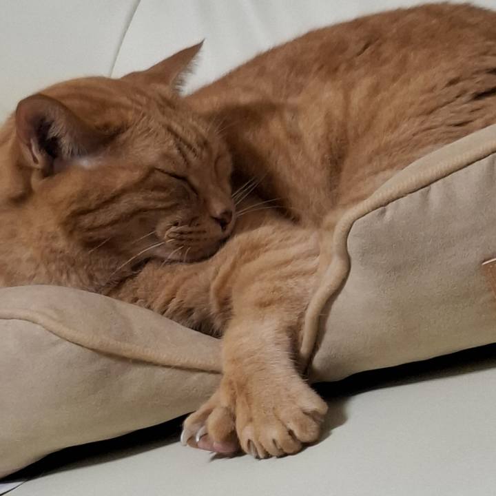 B94750cf 9e34 4cdc 86d2 a3baa80d8228 1726100897144