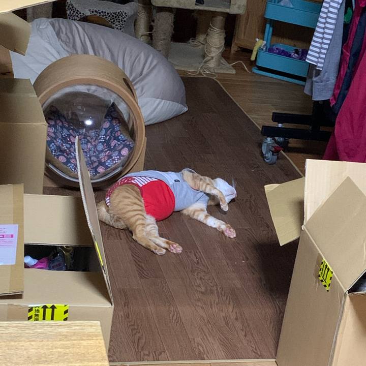 B947566a ef7d 459f a9f0 72f1d169fb14 1616675547553