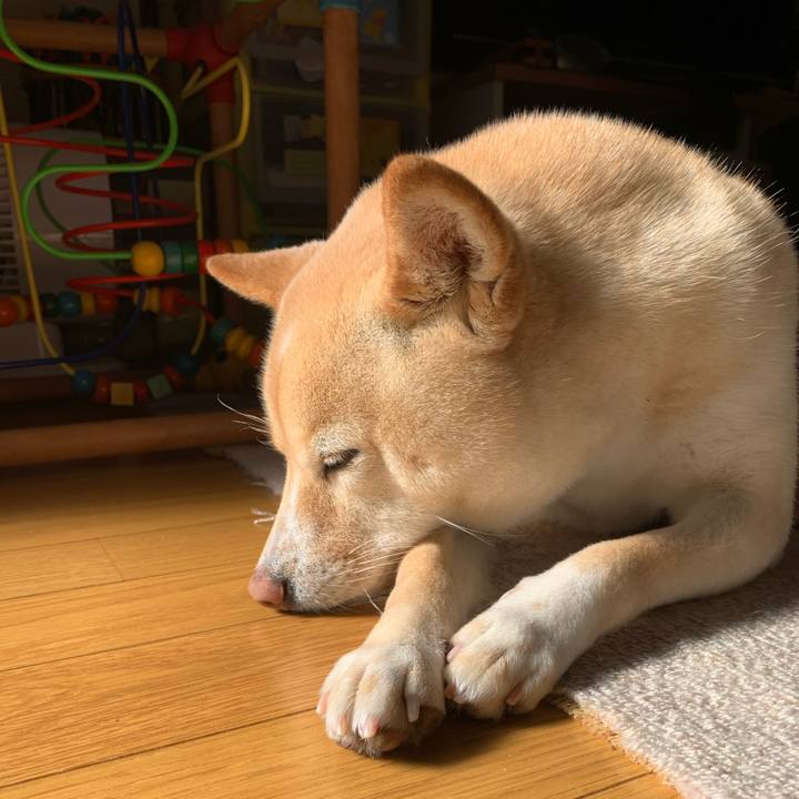 B9475a83 a788 4332 af9a 2380308e247c 1642125376419