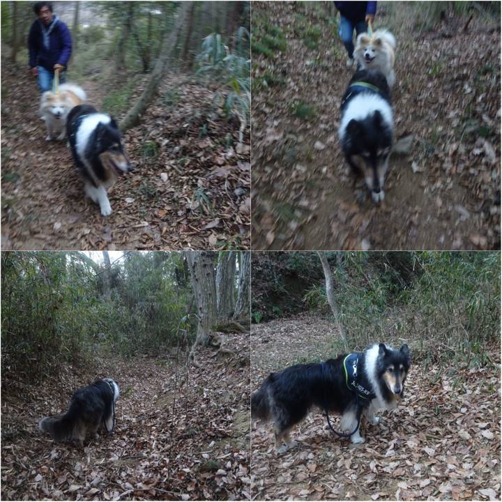 B94771dc 2d09 4750 8dec c8f27c50c2e4 1610961574343