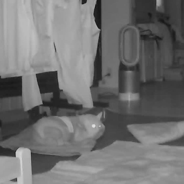 B94774fe 4718 446e 8c1e 19e65e41355a 1601377524458