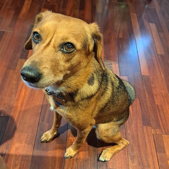 B9477511 8122 4775 822a 03370755ca57 1764297582460