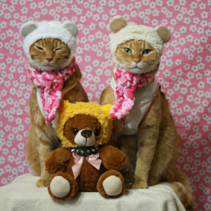 B947c482 eb01 464f b335 53a81a9510b1 1516025422454