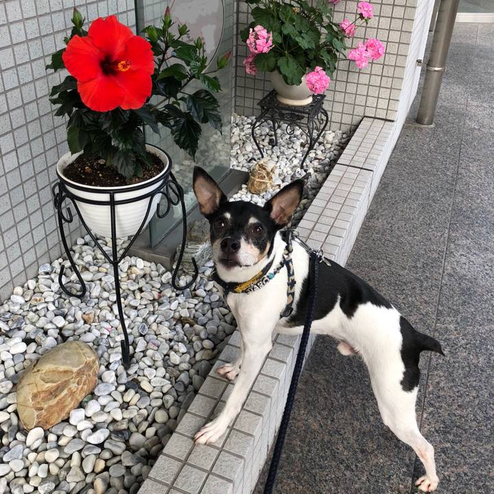 B947e132 cefa 4cd1 a087 d6dcda78a6b8 1528879528697