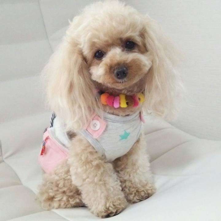 B947ec86 415e 44eb 928f 239d17f46dc4 1527680937604