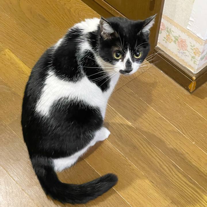 B948295c b6ff 4570 bfb6 9b0b93a578d5 1765148503701