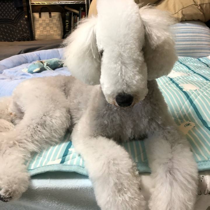 B9482e78 85f7 4099 808f dd7be2eb7ee7 1618129106268