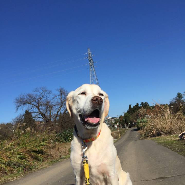 B948812a 38e2 4133 9abe 590ed135ba22 1512264596194