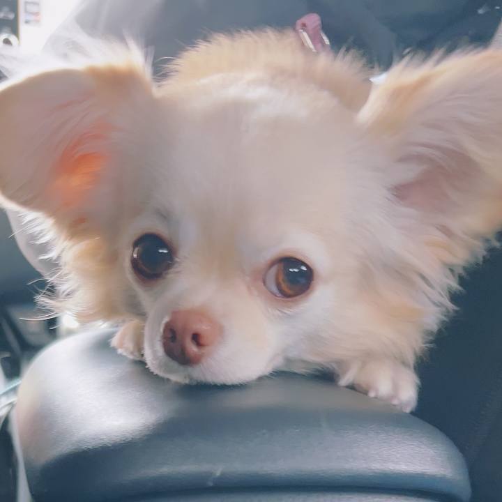 B948871e 44b5 460a 871c 413779faf992 1700961706105