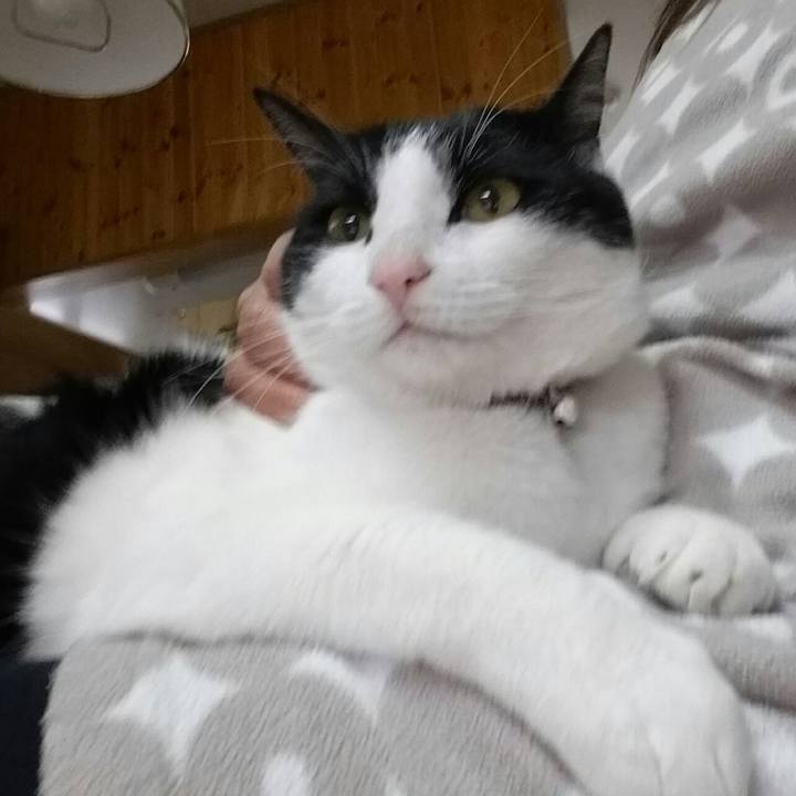 B9488dbf 0716 4aad ac80 24f33ce404c0 1523401242422