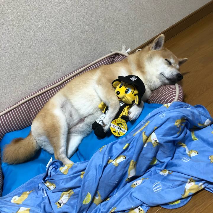 B948a090 ef21 41ba b718 220af980bb61 1593263947084