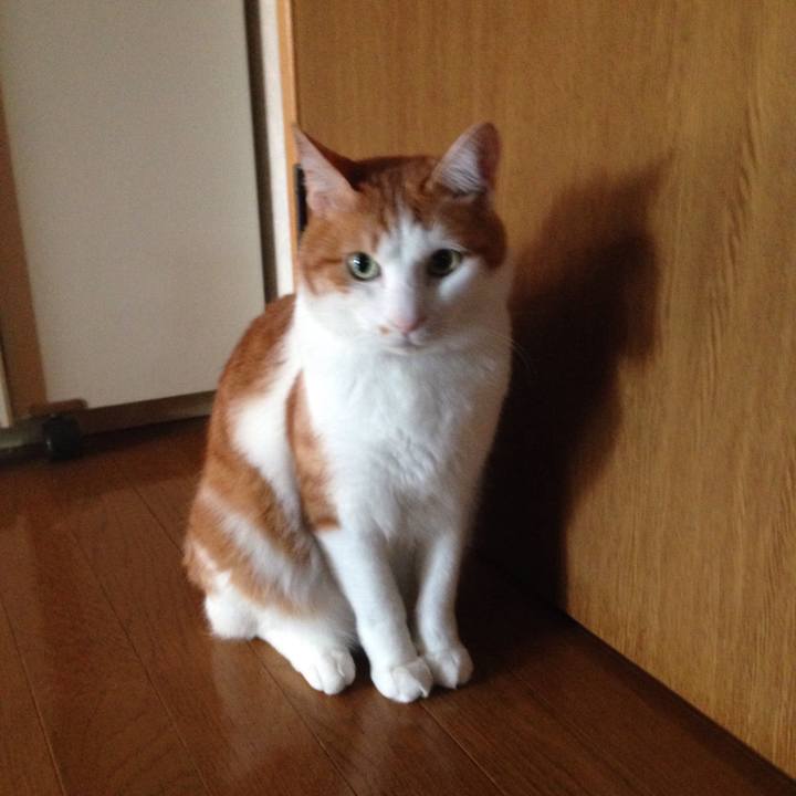 B948a691 ed27 47c5 a42c 796f7d56e262 1508017287332