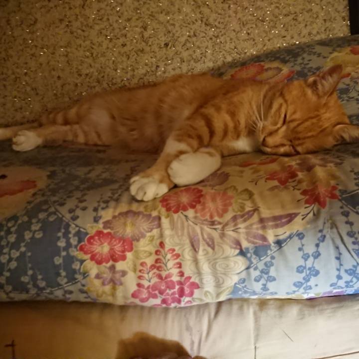 B949096e 761b 4c13 8cfc 1f909b372229 1597926737766