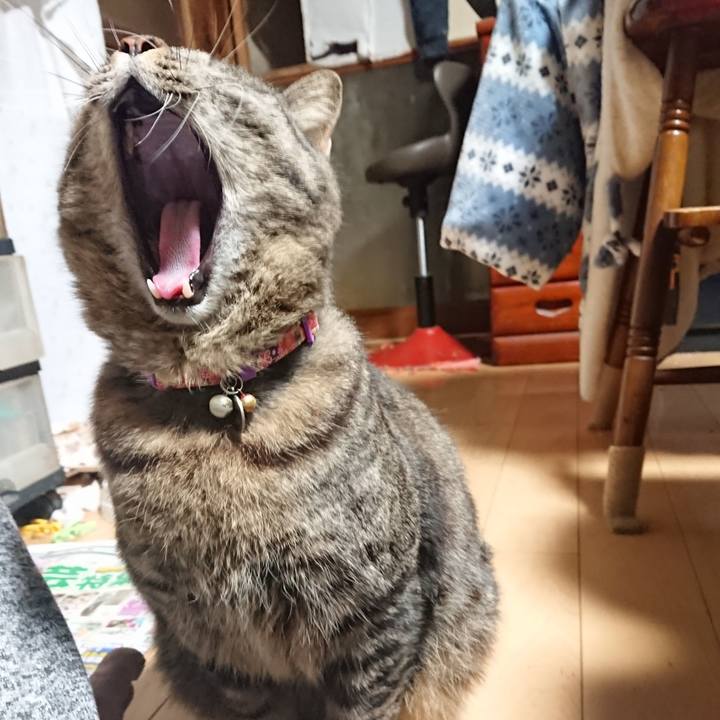 B949341c 0543 47e4 80d6 778e689d179b 1647550365905