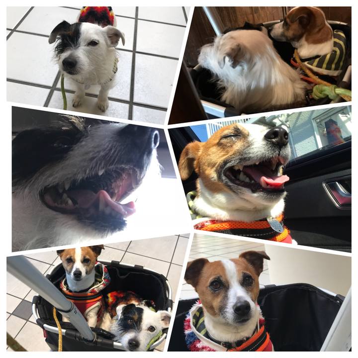 B9494fc0 1209 4cb5 8f1e b301f5bdc3ad 1518852390679