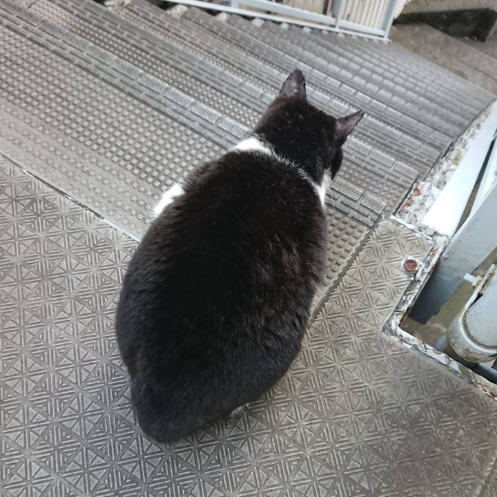 B9495724 4795 40c1 957f 5abd3538a2ac 1579146690460