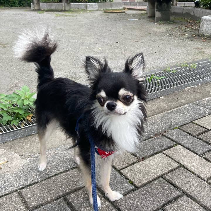 B949771a 98a4 4893 bc20 c0d681a38cb8 1625979961697