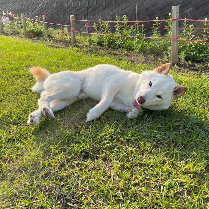 B949857f 0e8d 4697 a2e2 8a74d1164566 1652526376233