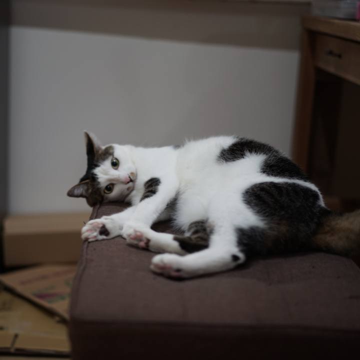 B949f6b8 e6a4 4795 8a33 6c4f4abec5a7 1557877004533