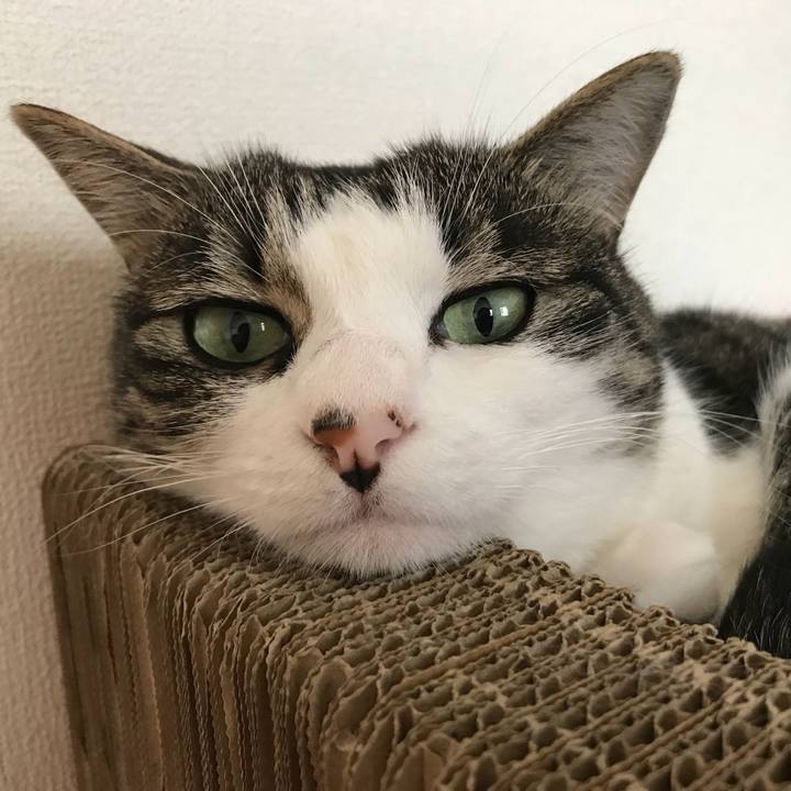 B94a1546 d9f3 40b3 a696 f86635a452d2 1563151160420