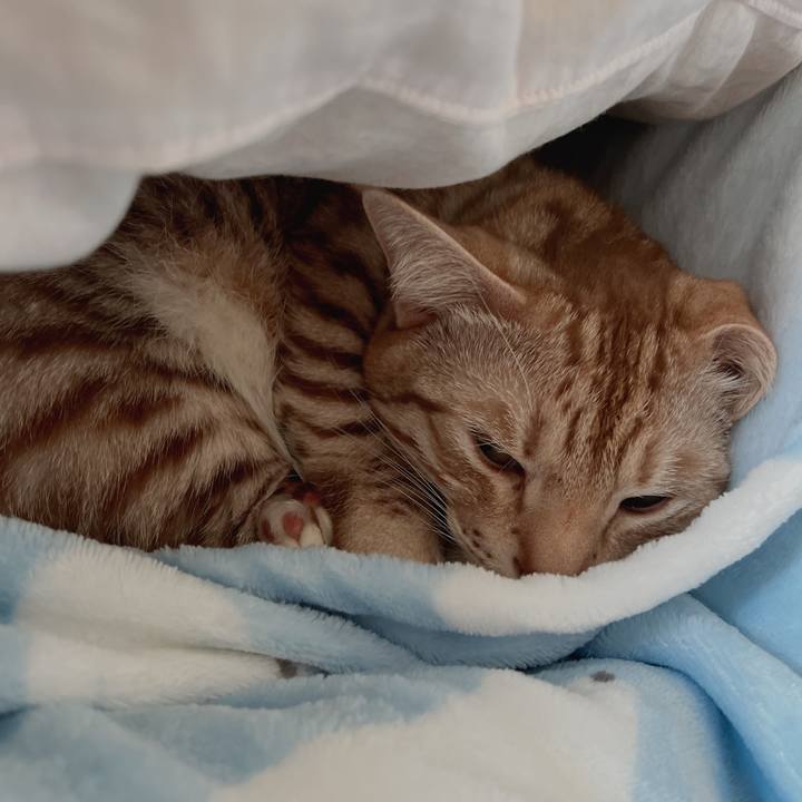 B94a3e5f e9ac 4270 aed1 0ac56c7cec57 1674357286959