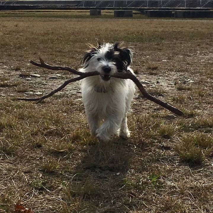 B94a40c9 dc1a 47c1 b49e 57d746c50f57 1513202873048