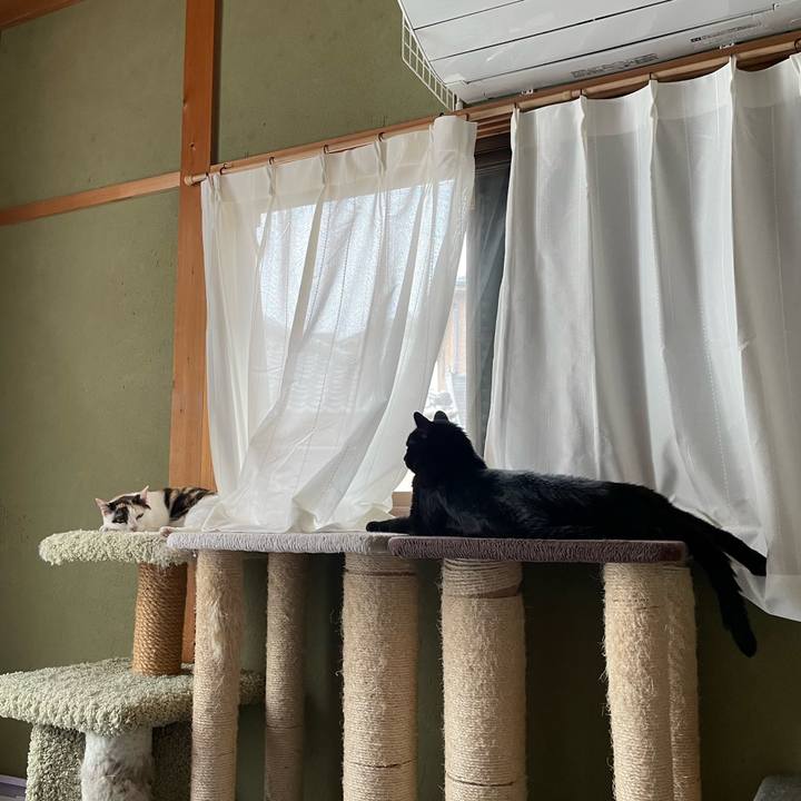 B94a41e4 eec7 485d a512 9c5d7eb39fbc 1755040507743