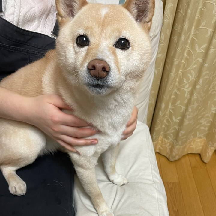 B94a5c81 03ed 4132 aa98 bc4844ac1d96 1672832574288