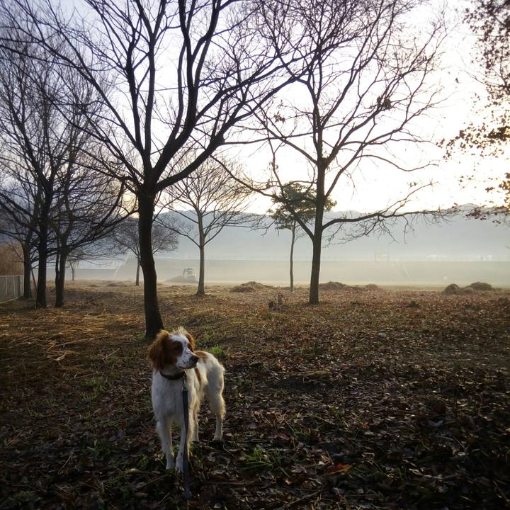 B94aad77 3bb2 4213 ba66 1aae4bf3def8 1516242665611