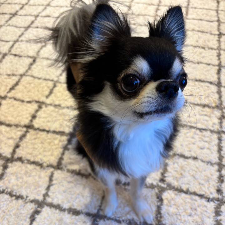 B94ac846 6dfe 40ef 9e8f 17a06657a065 1742747095308