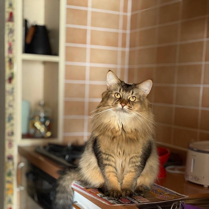 B94b02fe 4026 48f2 951d 57e76f53317f 1759058400374