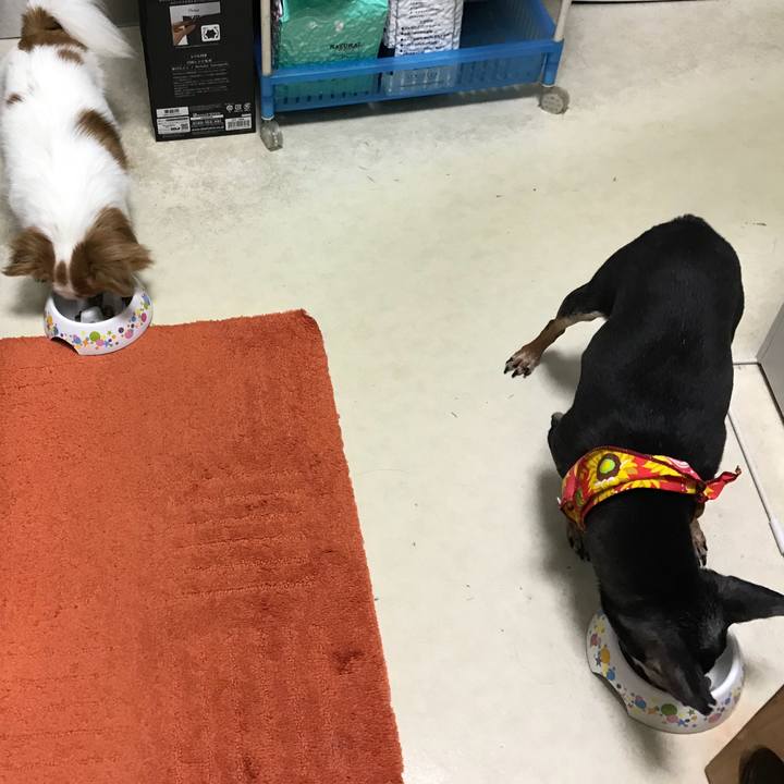 B94b173b 3590 4967 92bc c02c825328f4 1566692230898