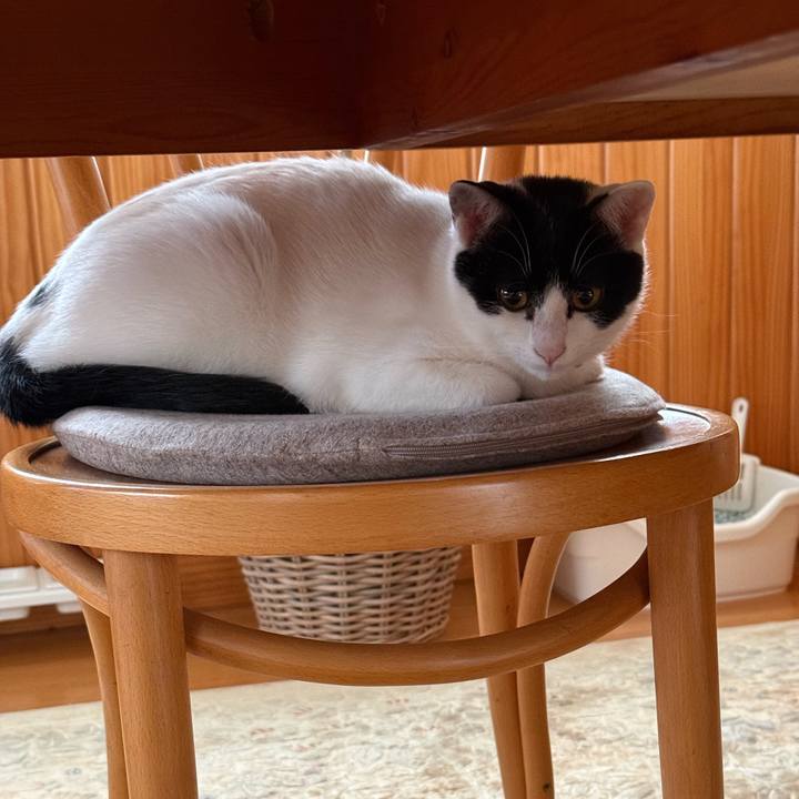 B94b1dae 2a73 4538 bd40 6435441cdc63 1763905934071