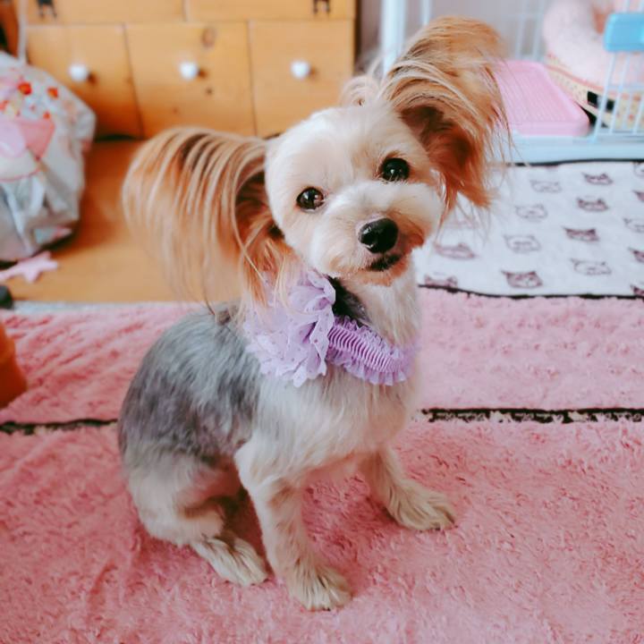 B94b1e7c b1e5 40bf ab12 0a640b295b01 1579600021025