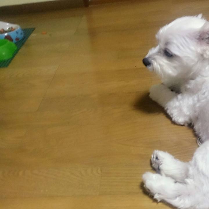 B94b29a2 2e02 468f 98f1 25c87de29864 1530276624349