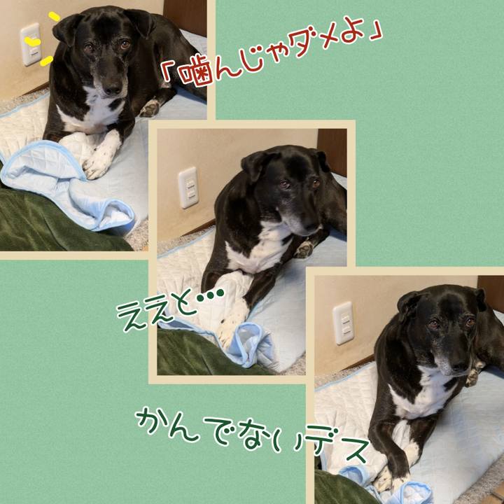 B94b865a a7f1 451e b3a1 ec1d8e2c3e1c 1754614065100