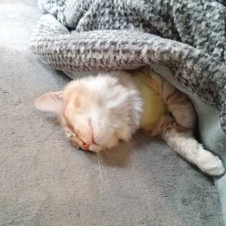 B94bb8f9 554b 4862 ba3f 33bf25022a15 1614841128248