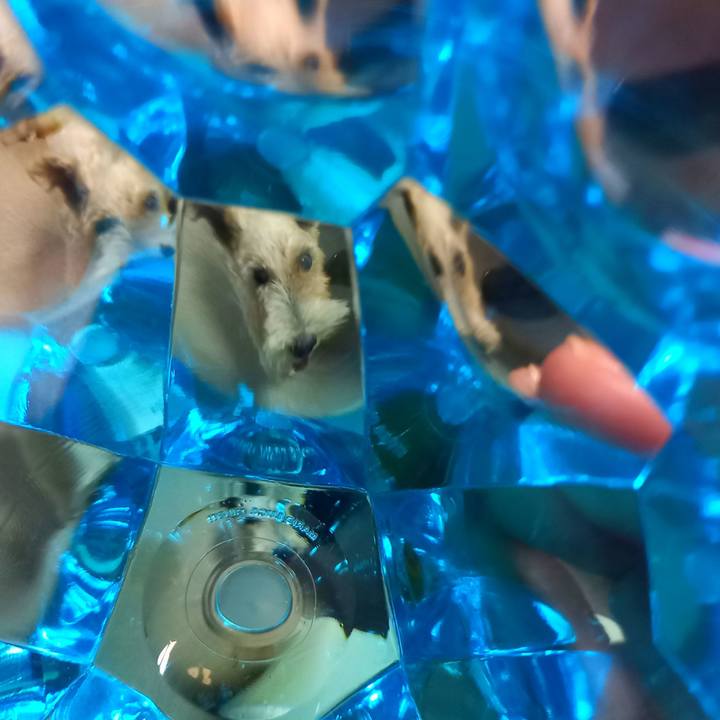 B94c1a3b a08b 456c 85ed 3eda6d1433d7 1631533521967