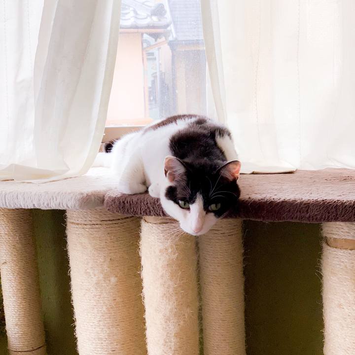 B94c7cb9 e8a2 4553 b5db 740067ba279c 1564103188700