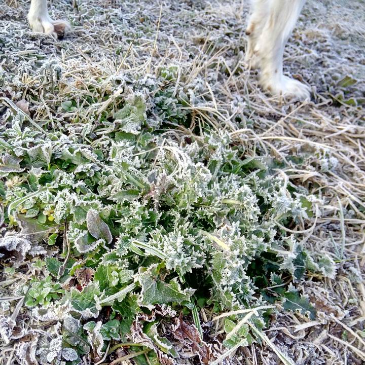 B94c7eb3 c620 4a4b a808 53ef22d0bfd9 1513729045556