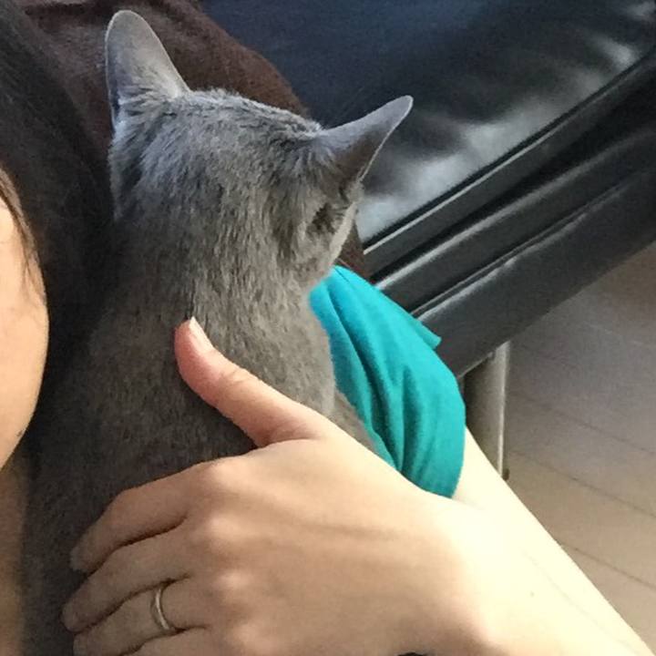 B94c80fa 32fc 4e88 95e0 3d32b26a28a9 1558566422378