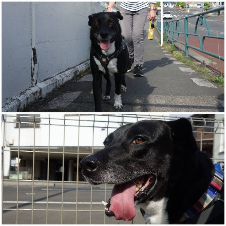 B94ca9f6 1fd0 4336 bc32 07a1dee6a94d 1653351490486