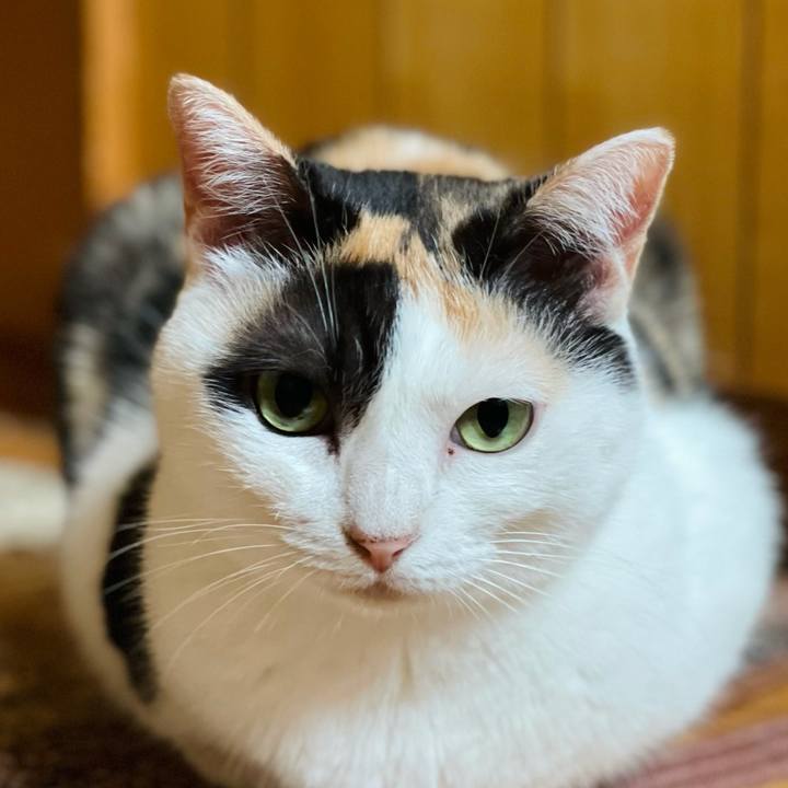 B94cb5fa 51f4 4d22 88ff 76a3503c40b5 1631325576783