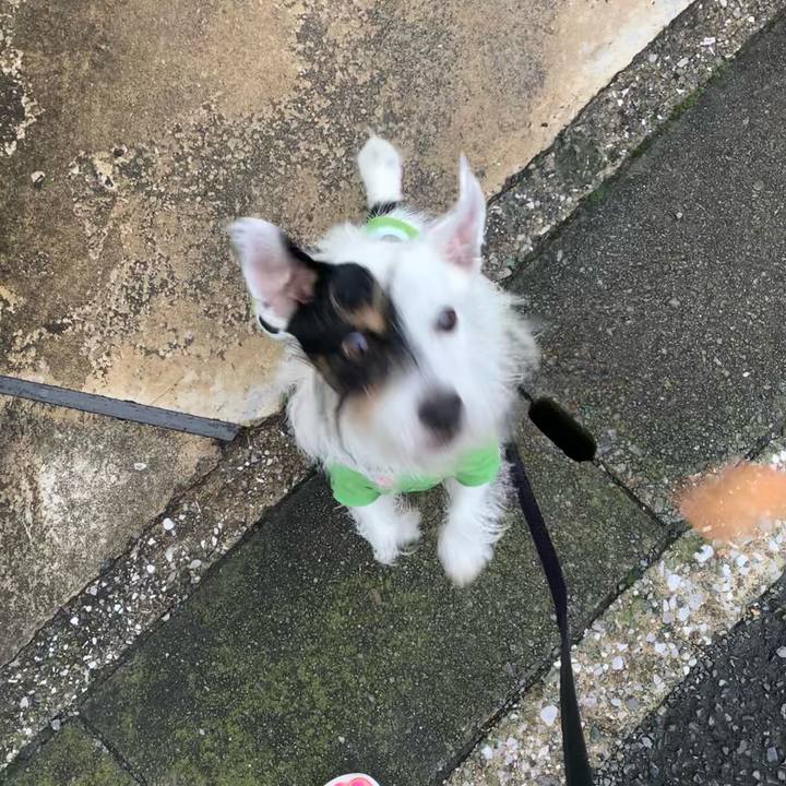 B94ccf38 1eb0 4164 aa86 1e1f16ee8c6e 1663660111592