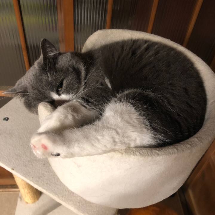 B94d2136 0011 4b7d ba13 777715f58ca7 1575032354998